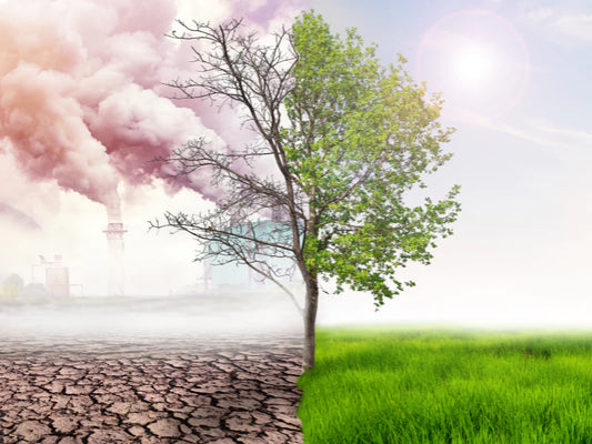 How Climate Change Affects Your Skin—and What You Can Do About It